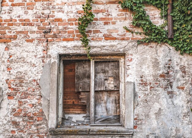 The old wooden window with ivy on the wall