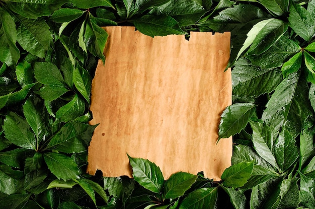 Old yellowed sheet paper against background lush green foliage