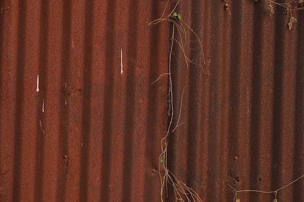 Old zinc background rusty decay