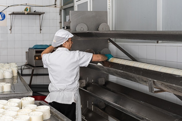 Older female worker handling the machine that extracts the leftover whey from the fresh cheese moulds Factory