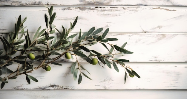 Olive branch against a white wooden background