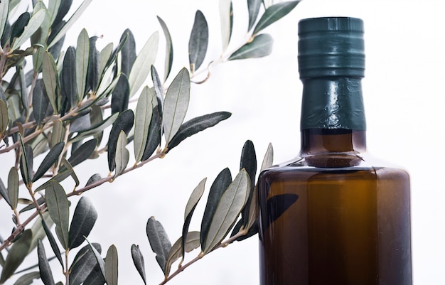 Olive branch and a bottle of olive oil 