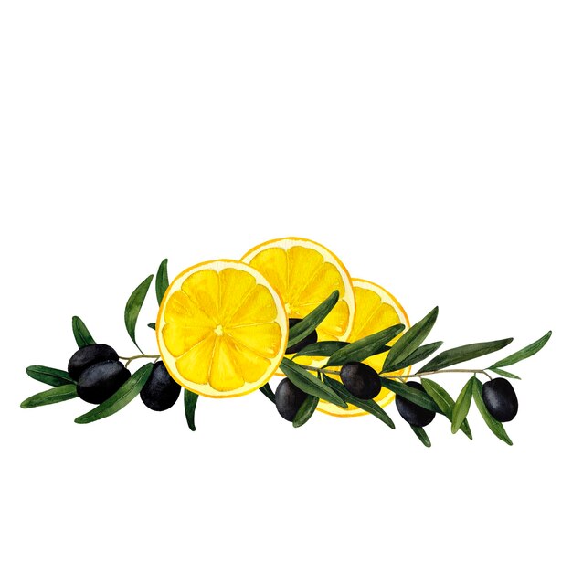 Olive branches and juicy lemons Mediterranean citrus composition handpainted watercolor wall art for printing on invitations labels product packages kitchen and restaurant design and decoration