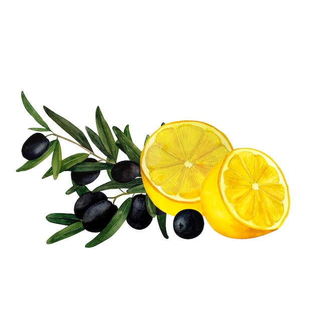 Olive branches and juicy lemons Mediterranean citrus composition handpainted watercolor wall art for printing on invitations labels product packages kitchen and restaurant design and decoration