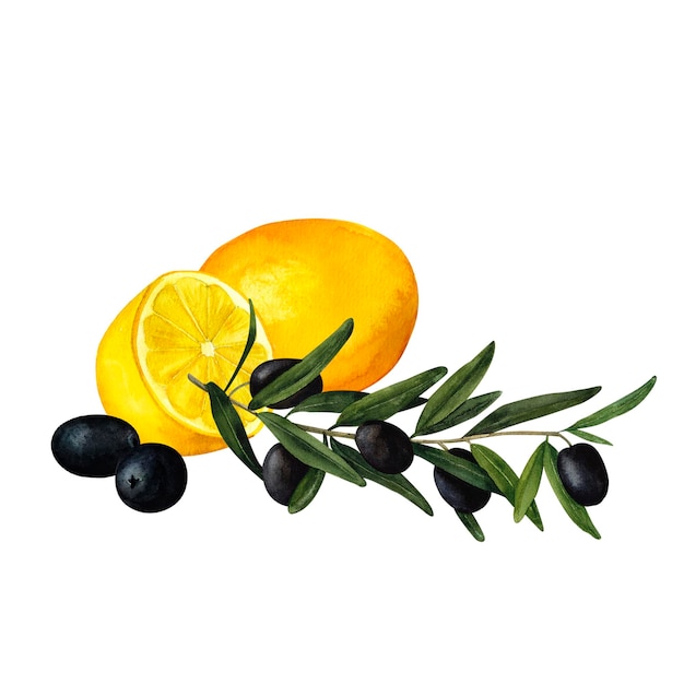 Olive branches and juicy lemons Mediterranean citrus composition handpainted watercolor wall art for printing on invitations labels product packages kitchen and restaurant design and decoration