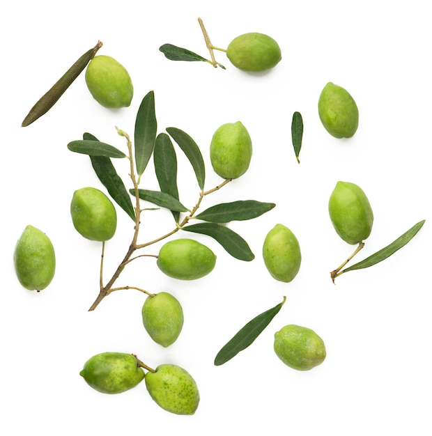 Olive fruit and olive leaves.