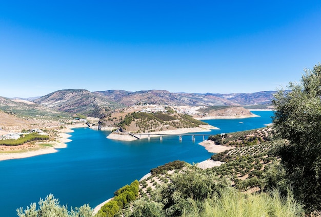 Olive trees around Lake Iznajar in Andalucia