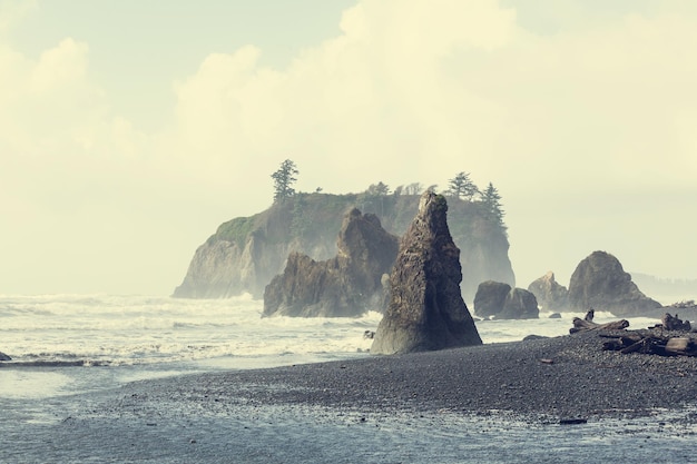 Olympic coast