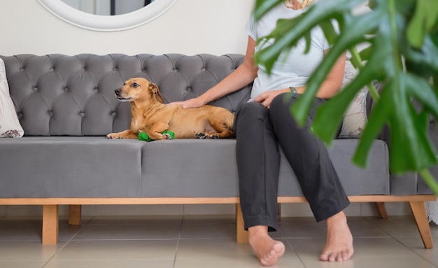 One blonde woman in black trousers sits on the couch and pets a dachshund resting nearby pets care and care