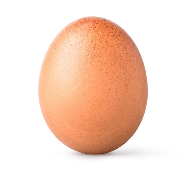 One brown egg isolated on a white background