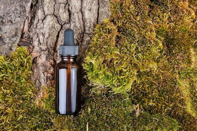 One brown glass bottles and pipette whith serum, essential oil on green moss and tree bark