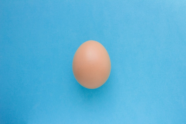 One chicken egg on a blue background