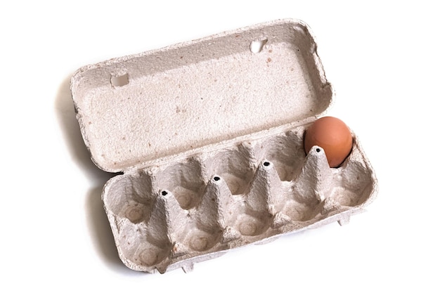 One chicken egg in carton isolated on white background