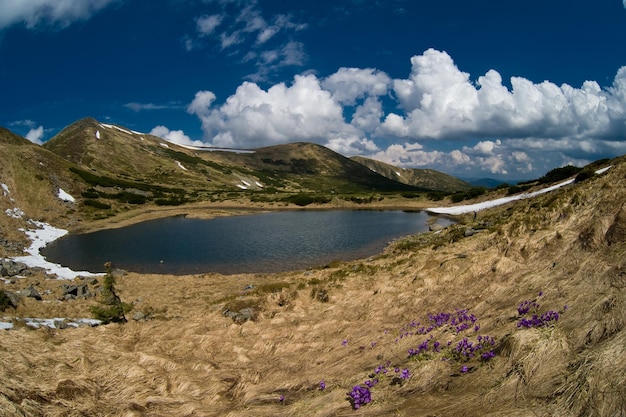 One day hiking in the spring mountains