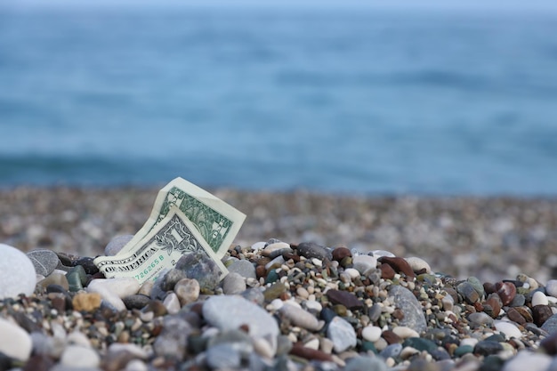 One dollar half covered with round rocks lie on beach