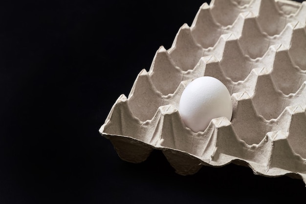 One egg in an egg carton tray on dark background