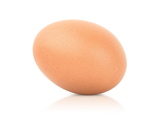 One egg on isolated white background