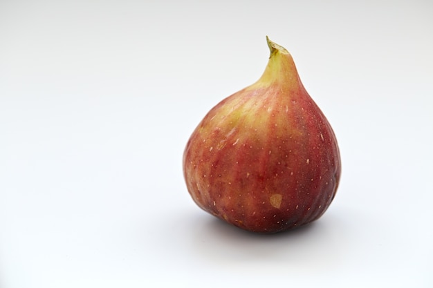 one fresh fig on white Background