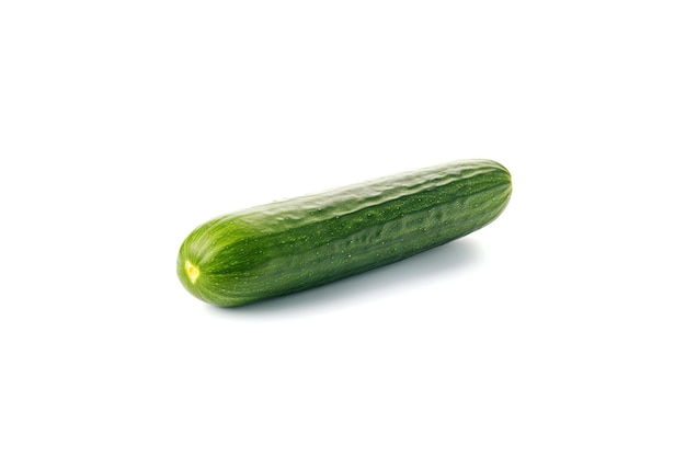 One fresh green cucumber isolated on white background