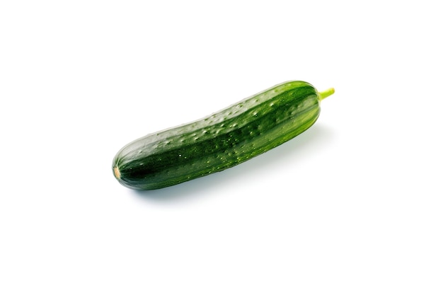 One fresh green cucumber isolated on white background