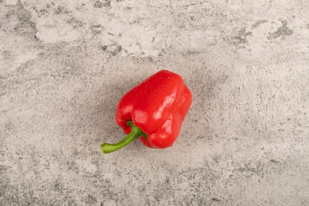 One fresh wet red bell pepper on stone surface