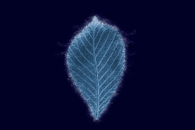 One frozen icy elm tree leaf isolated on dark blue background blue ice covered effect on leaf