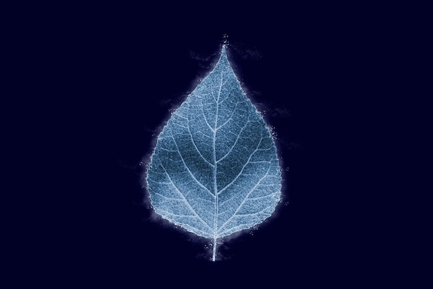 One frozen icy poplar tree leaf isolated on dark blue background blue ice covered effect on leaf