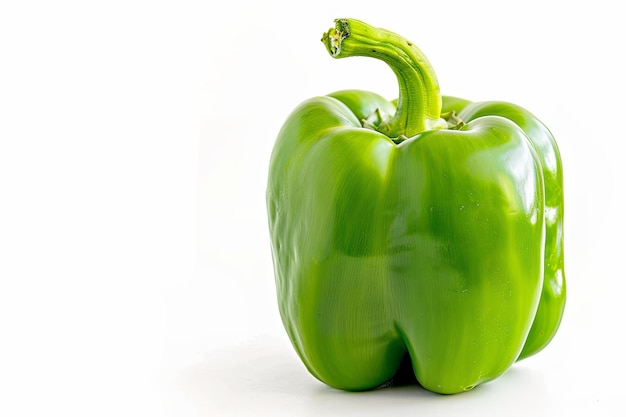 one green bell pepper on white isolated background cutout