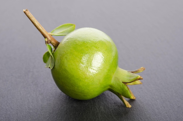 One green pomegranate with leaves on grey background