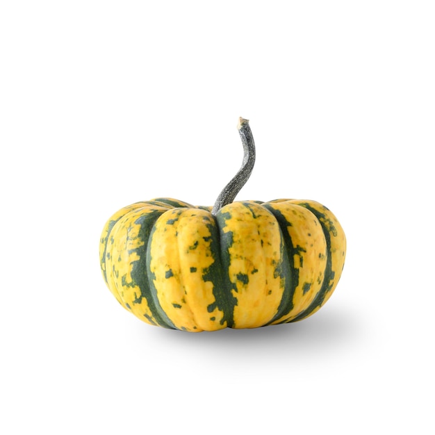 One Halloween Pumpkin isolated on white background