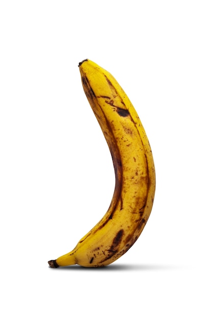 One overripe spoiled banana Yellow banana isolated on a white background