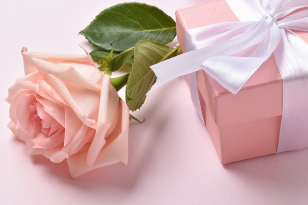 One pink rose and a gift box. minimalism