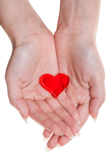 One red heart on female palms isolated