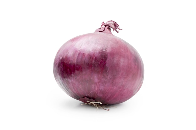 One red onion isolated