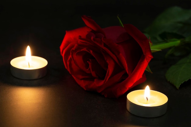 One red rose of roses with candles on a dark background Dramatic mystical atmosphere of the ritual of black magic The concept of grief and mourning postcards