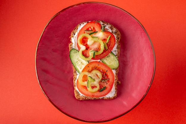 One sandwich with cheese, tomatoes, pepper on a red clay plate