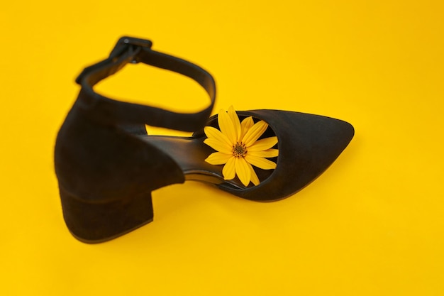 One suede black court shoe with yellow Topinambur flower bud inside toe yellow background