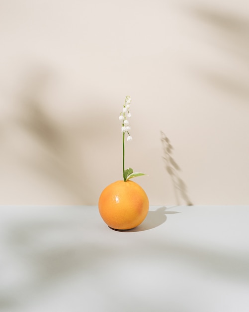 One vibrant orange and white lily of the valley on biege wall Spring or summer pastel background