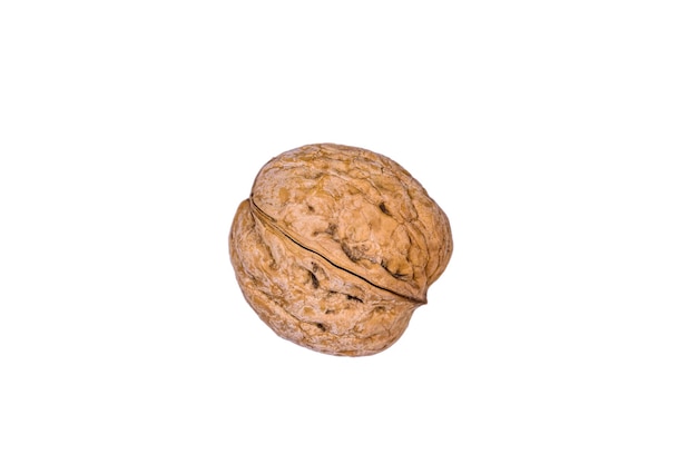 One walnut isolated on the white background