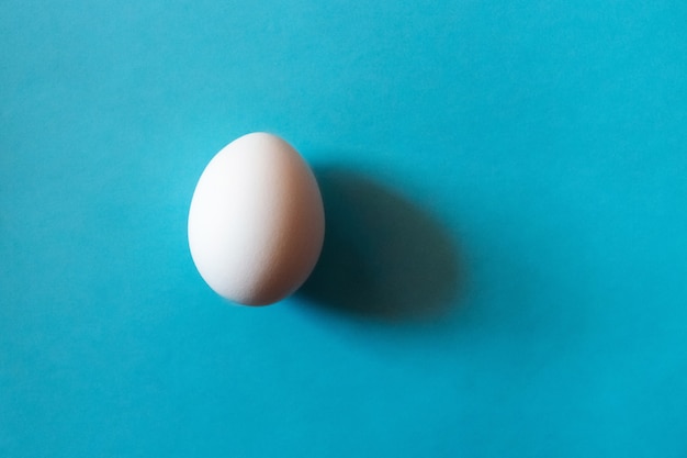 One white egg on blue table