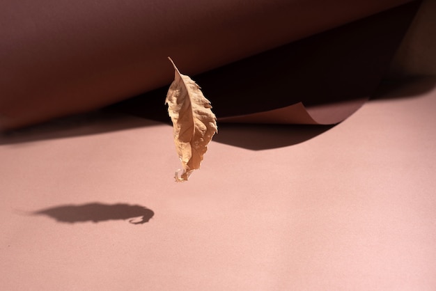 One yellow autumn leaf is flying on brown rolled paper in sunbeams.