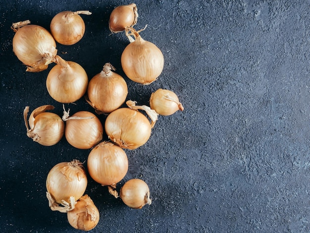 Onion on dark blue background