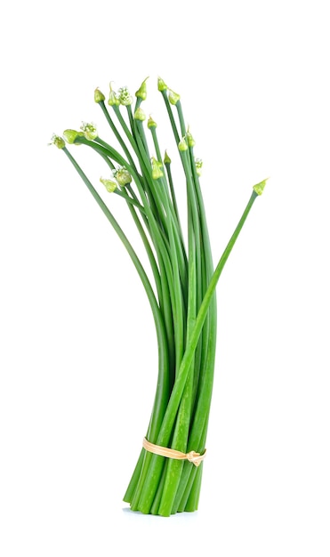 Onion flower on white