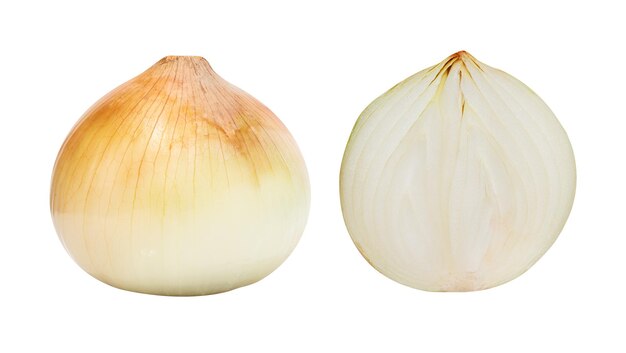 Onion full and half onion isolated on white background with clipping path