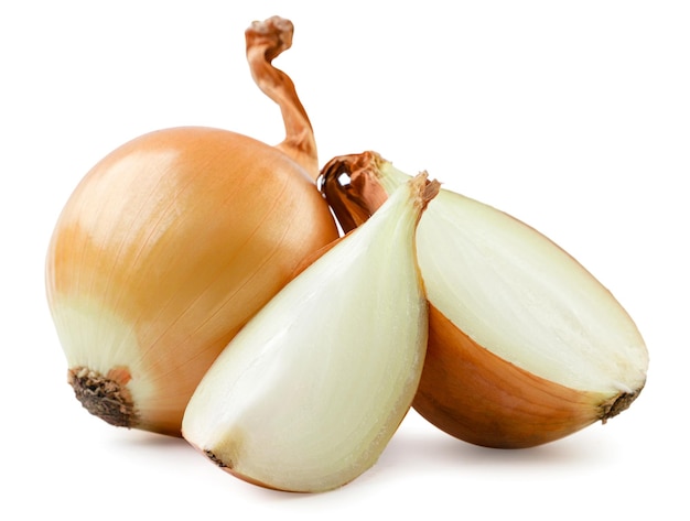 Onion half and piece on a white background Isolated