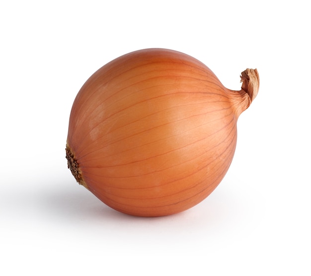 Onion Ripe isolated with clipping path