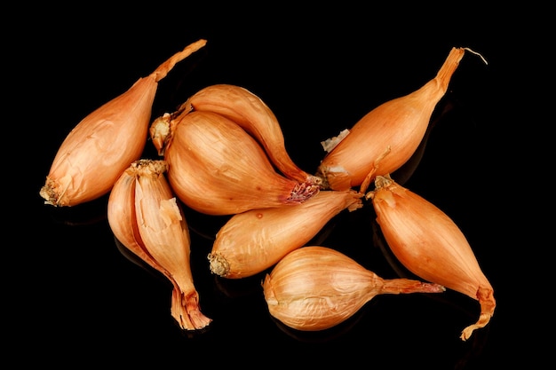 Onion seedlings on a black background