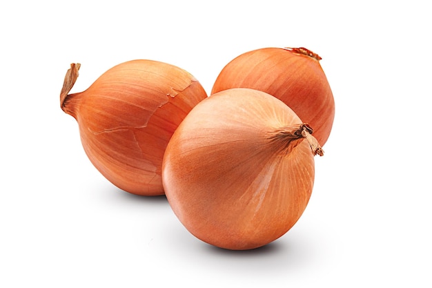 Onion. Three fresh organic onion bulbs isolated on a white background. Organic products.