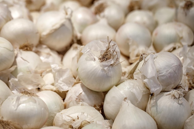 Onion unpeeled white whole in bulk on market selective focus