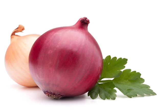 Onion vegetable bulb and parsley leaves still life